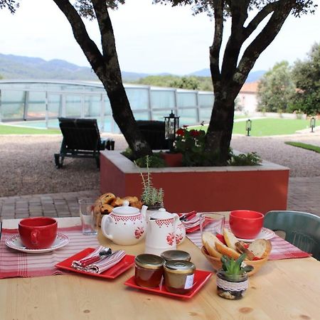 La Bastide De Nini Bed & Breakfast Carcès Eksteriør bilde